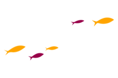 Compartamos Financiera